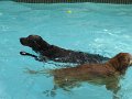 IMG_0009