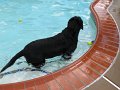 IMG_0020