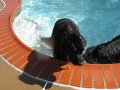 IMG_0021