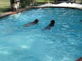 IMG_0023