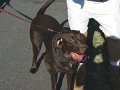 IMG_0032