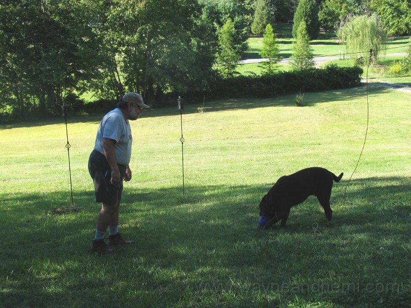 IMG_0033.JPG
