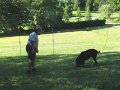 IMG_0033