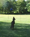 IMG_0036cr