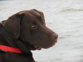 IMG_0025
