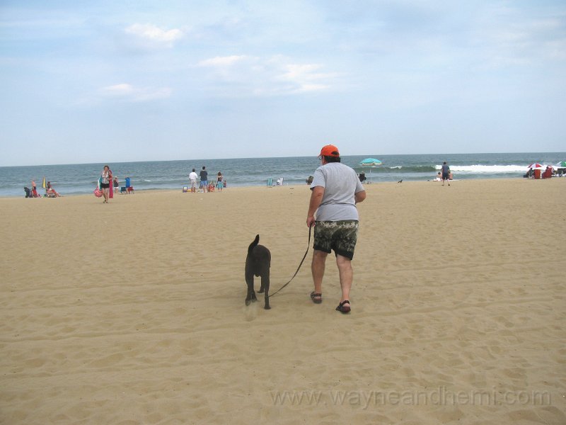 IMG_0036.JPG