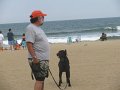 IMG_0037