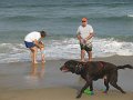 IMG_0046