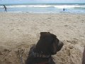 IMG_0066