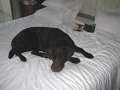 IMG_0070