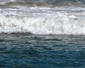 IMG_0089