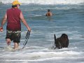 IMG_0094