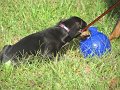 IMG_0002