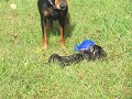 IMG_0004