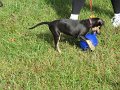 IMG_0006