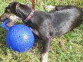 IMG_0007