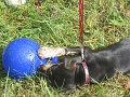 IMG_0008