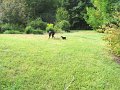 IMG_0011
