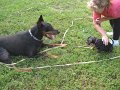 IMG_0012
