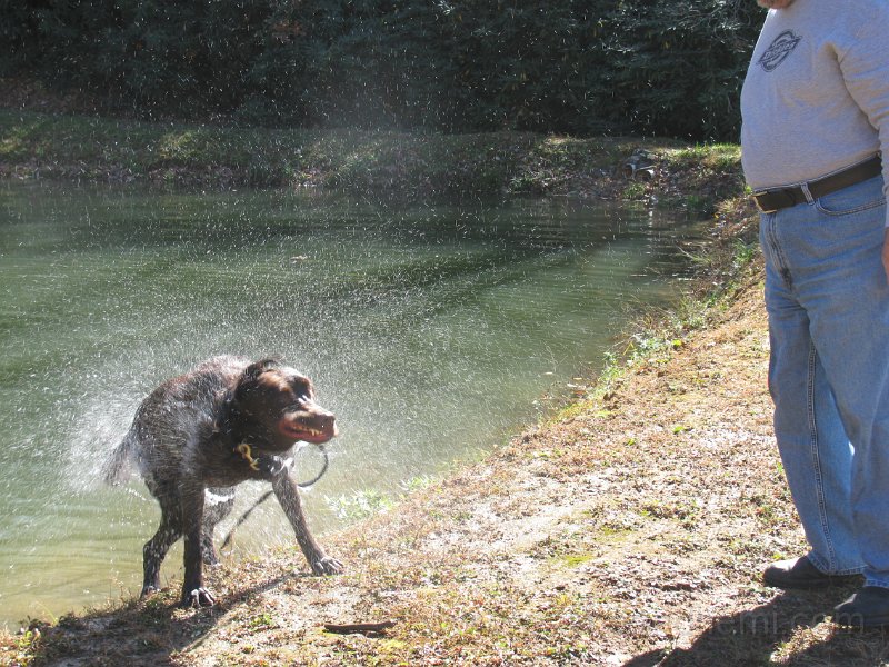 IMG_0082.JPG