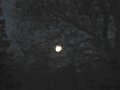 IMG_0012