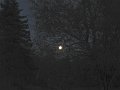 IMG_0013