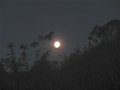 IMG_0014