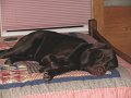 IMG_0020