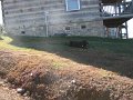 IMG_0032