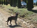 IMG_0040