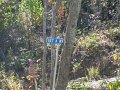 IMG_0046