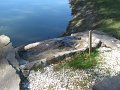 IMG_0050