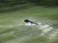 IMG_0080