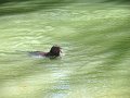 IMG_0081