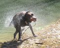 IMG_0082cr