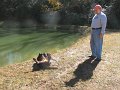 IMG_0084