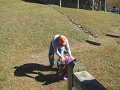 IMG_0087