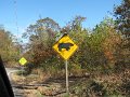 IMG_0089