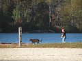 IMG_0103