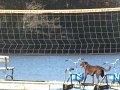 IMG_0104