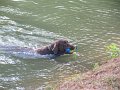 IMG_0107