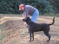 IMG_0108
