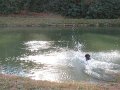 IMG_0109