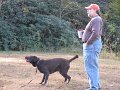 IMG_0112