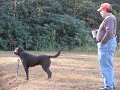 IMG_0113