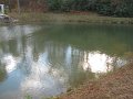 IMG_0114