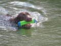 IMG_0115