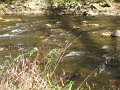 IMG_0119