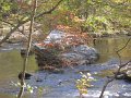 IMG_0123