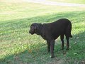 IMG_0041